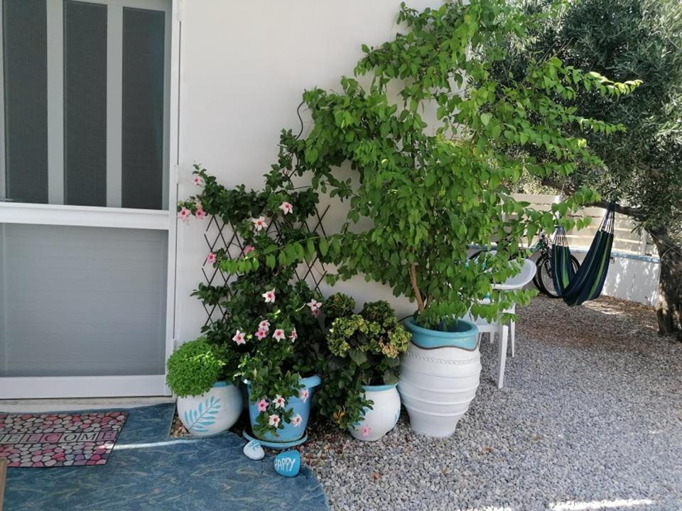 基萨莫斯Casa D'Armaros别墅 外观 照片